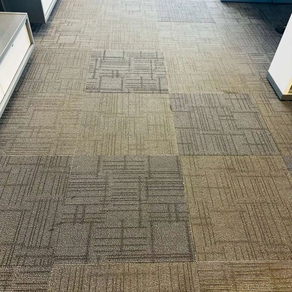 Brico Handyman Project Showcase Carpet Replacement